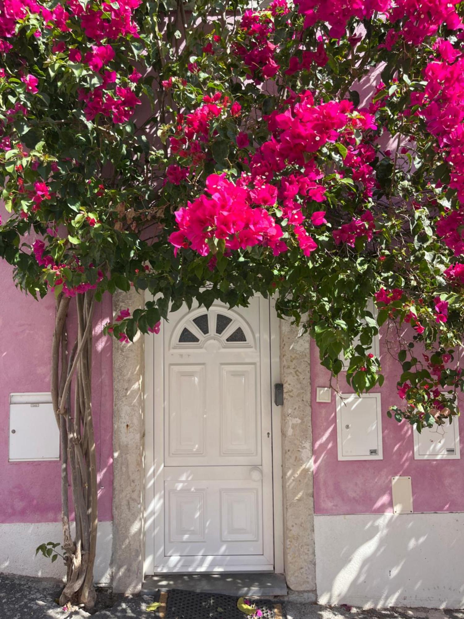 شقة Casa Cor De Rosa Lisboa المظهر الخارجي الصورة