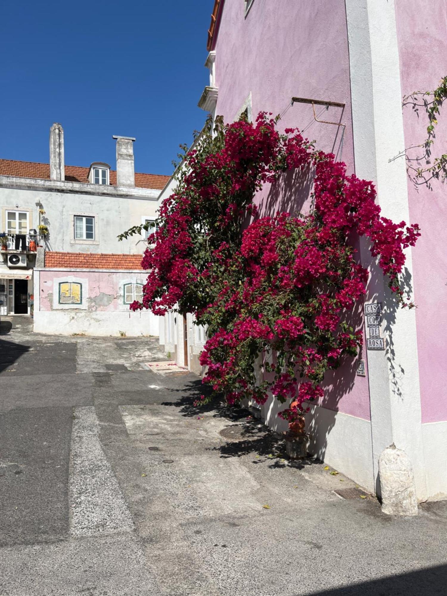 شقة Casa Cor De Rosa Lisboa المظهر الخارجي الصورة