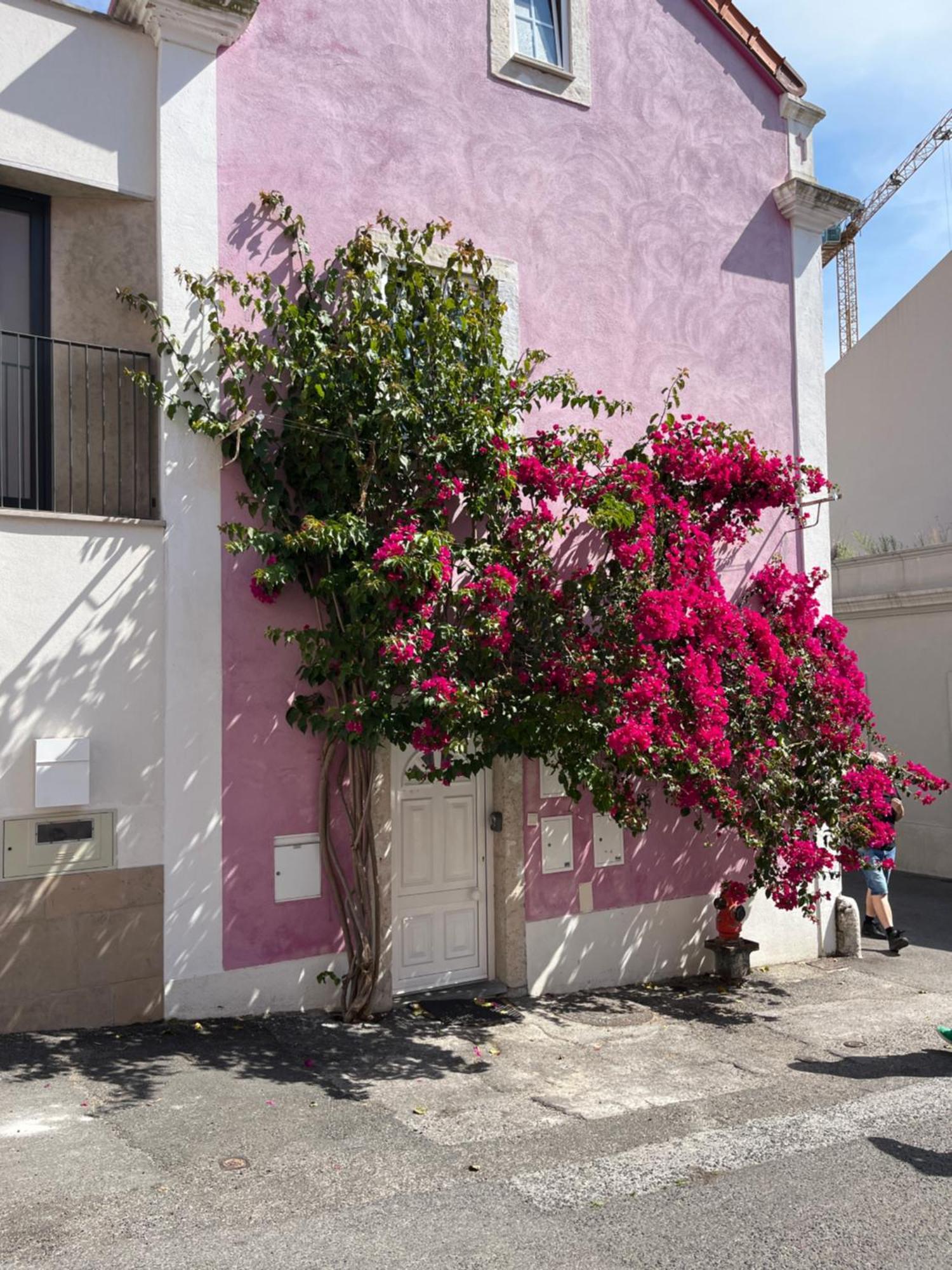 شقة Casa Cor De Rosa Lisboa المظهر الخارجي الصورة